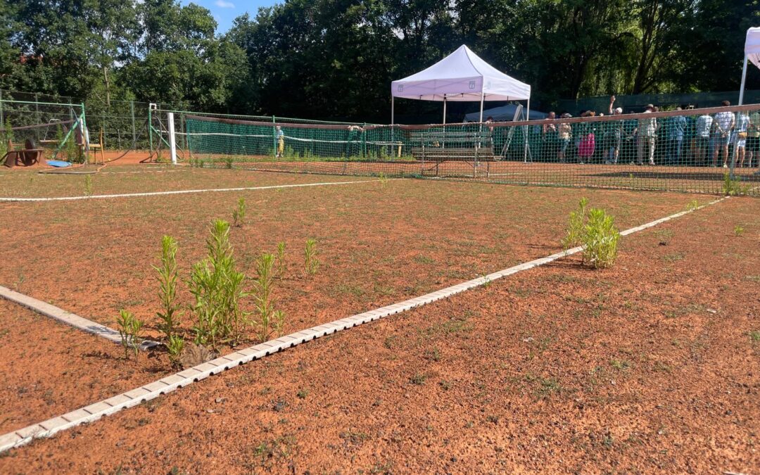 Ověřovací dotazník ke sportovišti na Macharově náměstí